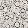 SENSI GEMS MULTIQUARTZ LUX 120X120