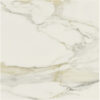 I CLASSICI CAL.GOLD 6MM GLOSSY 160X160RE — изображение 3