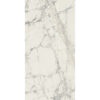 PREXIOUS REX MOUNTAINTREASURE GLO60X120R