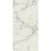 PREXIOUS REX MOUNTAINTREASURE GLO60X120R — изображение 3