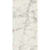 PREXIOUS REX MOUNTAINTREASURE GLO60X120R — изображение 4