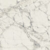 PREXIOUS REX MOUNTAINTREASURE GLO60X60 R