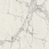 PREXIOUS REX MOUNTAINTREASURE GLO60X60 R — изображение 4
