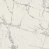 PREXIOUS REX MOUNTAINTREASURE GLO60X60 R — изображение 2