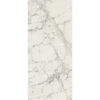PREXIOUS REX MOUNTAINTREASURE GLO80X180R