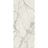 PREXIOUS REX MOUNTAINTREASURE MAT80X180R
