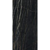 PREXIOUS REX THUNDER NIGHT GLO 60X120R — изображение 2