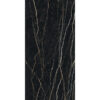 PREXIOUS REX THUNDER NIGHT GLO 60X120R — изображение 3