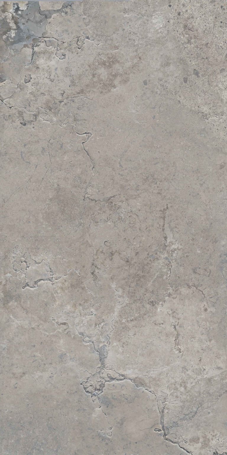 PIETRA-VIVA-GREY-60X120_2-scaled