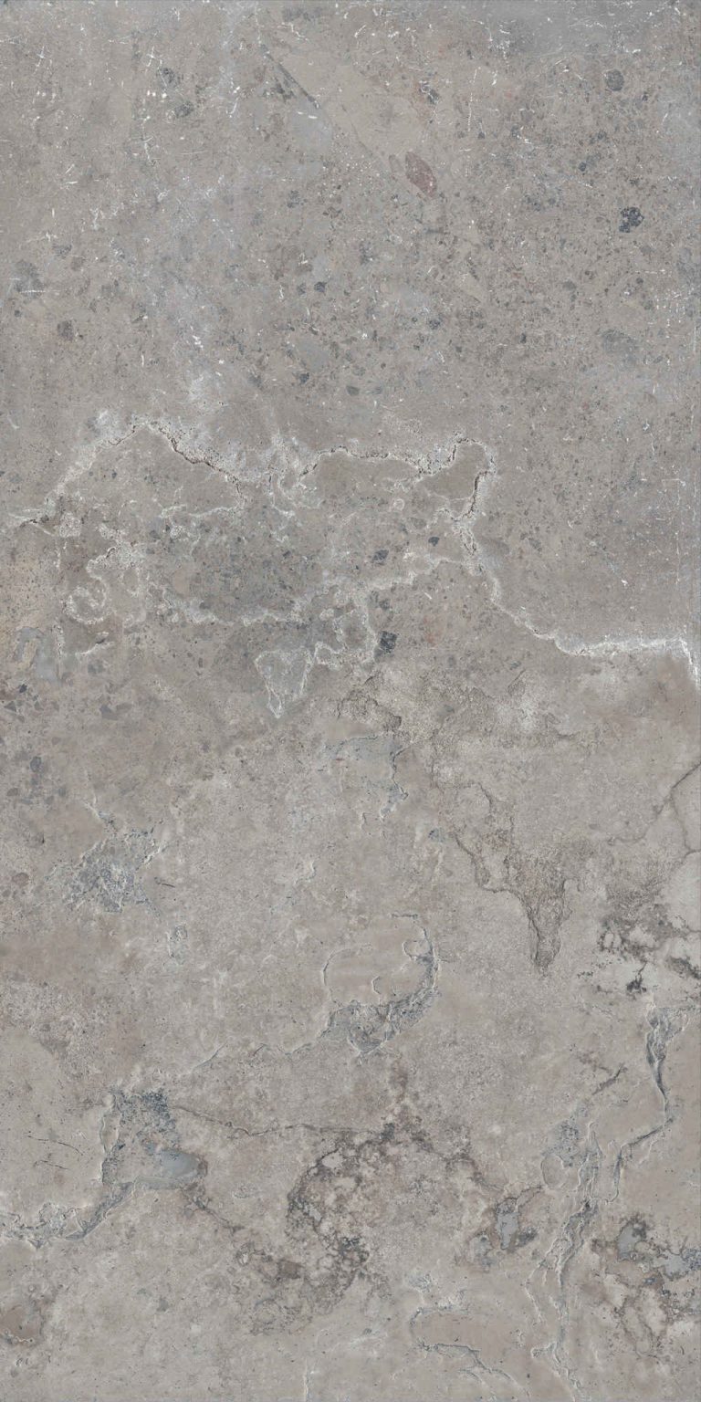 PIETRA-VIVA-GREY-60X120_5-scaled