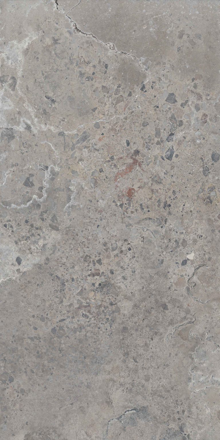 PIETRA-VIVA-GREY-60X120_6-scaled