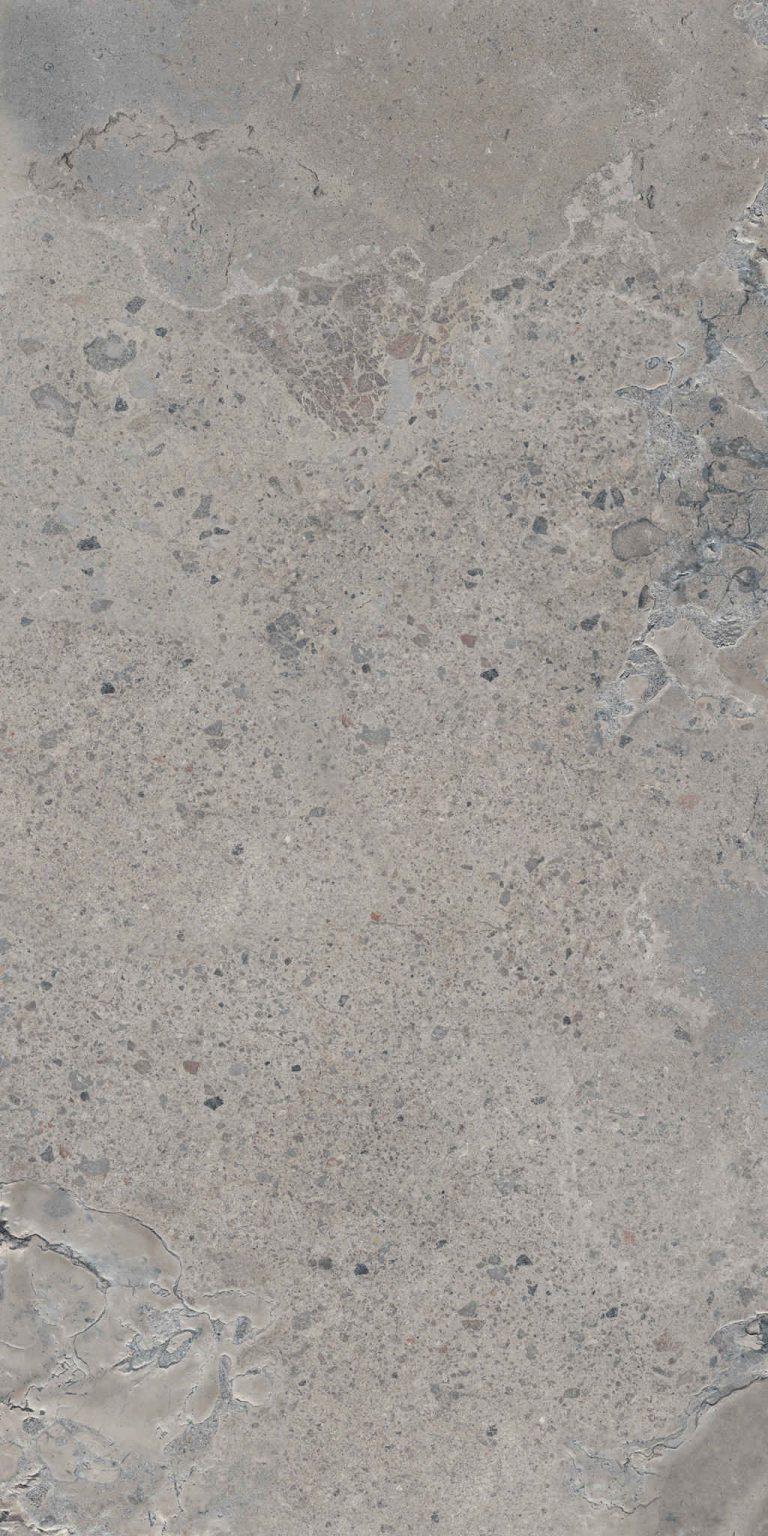 PIETRA-VIVA-GREY-60X120_8-scaled