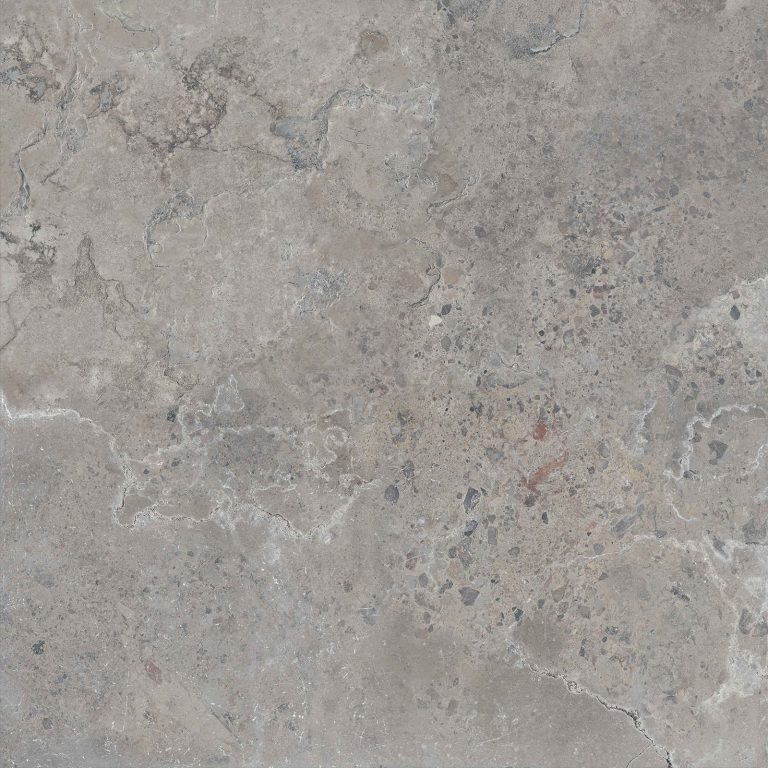 PIETRA-VIVA-GREY-80X80_7