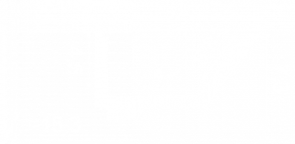 СКРЫТОЕ ОСВЕЩЕНИЕ C358 RAIL