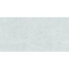 КЕРАМОГРАНИТ МАТОВЫЙ SILK 60Х120 ALPINE BIANCO 60X120 MATT