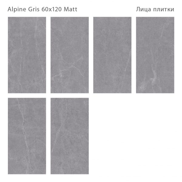 КЕРАМОГРАНИТ МАТОВЫЙ SILK 60Х120 ALPINE GRIS 60X120 MATT — изображение 2