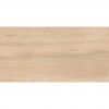 КЕРАМОГРАНИТ FORESTA AMAZON WOOD BEIGE 60X120 MATT