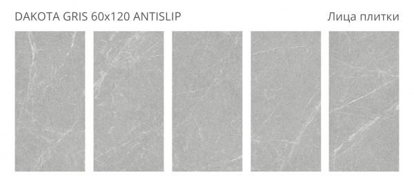 КЕРАМОГРАНИТ ANTISLIP 60X120 DAKOTA GRIS 60X120 ANTISLIP — изображение 2