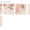 КЕРАМИЧЕСКИЙ СЛЭБ POLISHED METALYN BEIGE ELEGANCE 1200Х1200Х9ММ — изображение 2