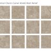 КЕРАМОГРАНИТ МАТОВЫЙ SILK 60Х60 MYSTICAL CHARM CAMEL 60X60 MATT — изображение 2