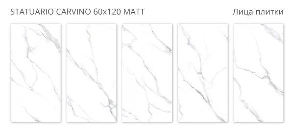 КЕРАМОГРАНИТ МАТОВЫЙ VELVET STATUARIO CARVINO 60X120 MATT — изображение 2