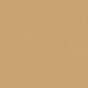КЕРАМИЧЕСКИЙ ГРАНИТ W&S FL. RAINBOW SENAPE 120X120