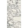 КЕРАМОГРАНИТ STONES 2.0 ARABESC.WHITE GLOSSY	60X120 — изображение 3