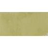 КЕРАМИЧЕСКАЯ ПЛИТКА  W&S D+ CP4 METROPOLE LIME    120X240