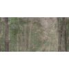 КЕРАМИЧЕСКАЯ ПЛИТКА  W&S D+ CP4 WOODS B  120X240