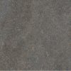 КЕРАМОГРАНИТ NATIVE FOREST RET	120X120