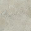 КЕРАМОГРАНИТ PTR.VIVA BEIGE NAT R120X120