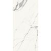 КЕРАМОГРАНИТ MAJESTIC PURE SUPERB STATUARIO L/R 60X119,5