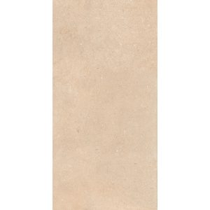 КЕРАМОГРАНИТ AUTHENTIC LUX ST DORD MATL 60X120 6MM
