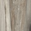 КЕРАМОГРАНИТ ETOILE TROPICAL MAT 6MM 120X120 RET — изображение 3