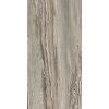 КЕРАМОГРАНИТ  ETOILE TROPICAL MAT 6MM 60X120 RET — изображение 3