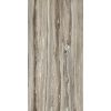 КЕРАМОГРАНИТ  ETOILE TROPICAL GLO 6MM 60X120 RET — изображение 4