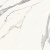 КЕРАМОГРАНИТ MAJESTIC PURE SUPERB STATUARIO N/R 60X60 — изображение 3