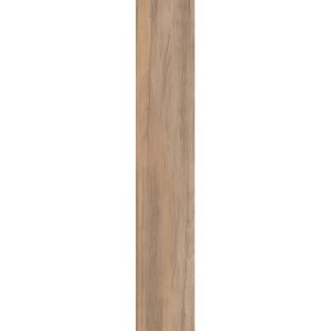 ПЛИТКА НАПОЛЬНАЯ DOLPHIN CLAY AGED RETT. 20X120