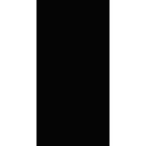 КЕРАМИЧЕСКАЯ ПЛИТКА ABSOLUTE BLACK RETTIFICATO 10MM	60X120 	60X120
