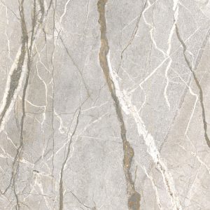 КЕРАМИЧЕСКАЯ ПЛИТКА  SUPREME HEDONISM SILV. ROOTS LU3 R 120X120