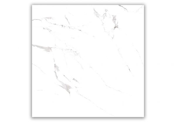 КЕРАМОГРАНИТ REALISTIK ORIENTAL WHITE MATT CARVING 60Х60 — изображение 4