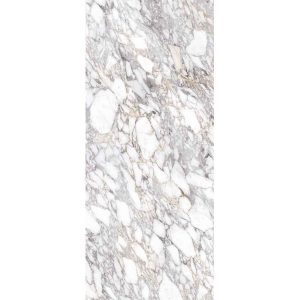 КЕРАМОГРАНИТ SPR.MEMOR. BIAN.VAGLI SFT R120X280
