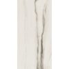 КЕРАМОГРАНИТ PREXIOUS REX WHITE FANTASY GLO 60X120 R — изображение 4