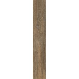 КЕРАМИЧЕСКИЙ ГРАНИТ STEAM WORK NUT 20X120
