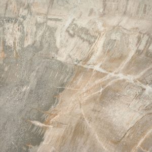 КЕРАМИЧЕСКАЯ ПЛИТКА FOSSIL BEIGE NAT 50X50