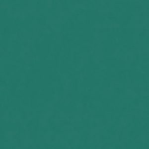 КЕРАМИЧЕСКИЙ ГРАНИТ  W&S FL. RAINBOW BOSCO 120X120