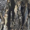 КЕРАМОГРАНИТ BIJOUX QUATRE SAISONS GLO 6MM R	120X120