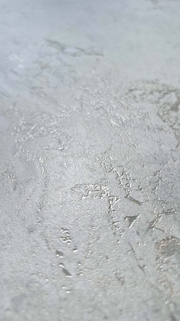 КЕРАМОГРАНИТ REALISTIK INFINITY VENON DOVE ENDLESS CARVING 80X160 (2,56) — изображение 8