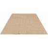КЕРАМОГРАНИТ C.ROAD WOOD AMBER RET.TRAP.60X30X30 — изображение 2