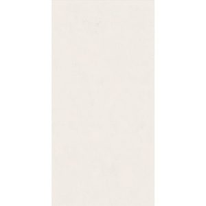 КЕРАМИЧЕСКАЯ ПЛИТКА WIDE&STYLE MINI SNOW RET 60Х120